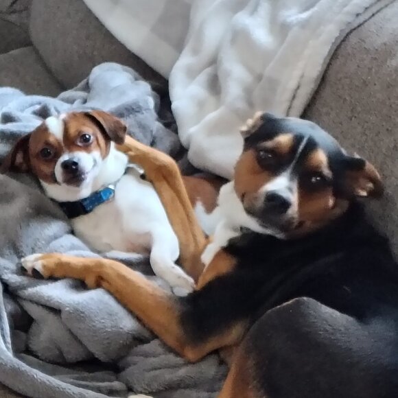 NOTIFICATION - Picture 8 of 8